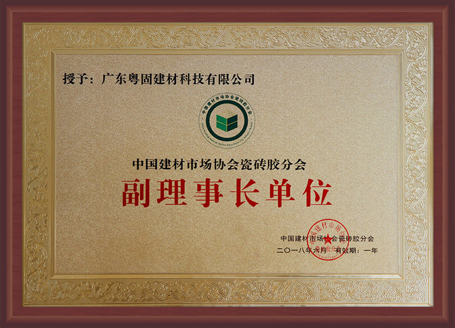 中國建材市場協會瓷磚膠分會授予