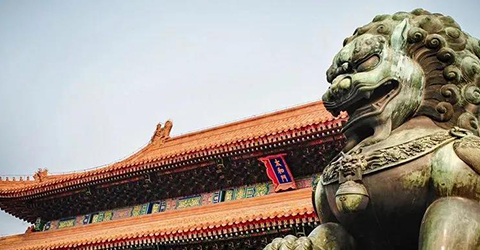 大粵獅王：培育王者風范，成就光榮與夢想